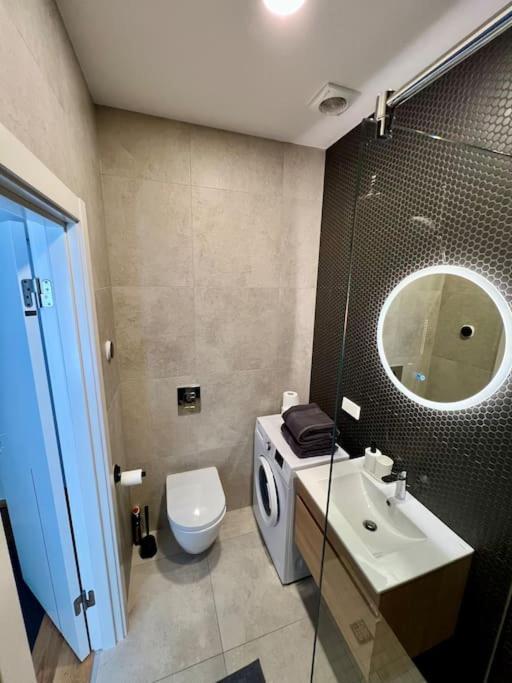 Riga's Essence: Stylish Appartement